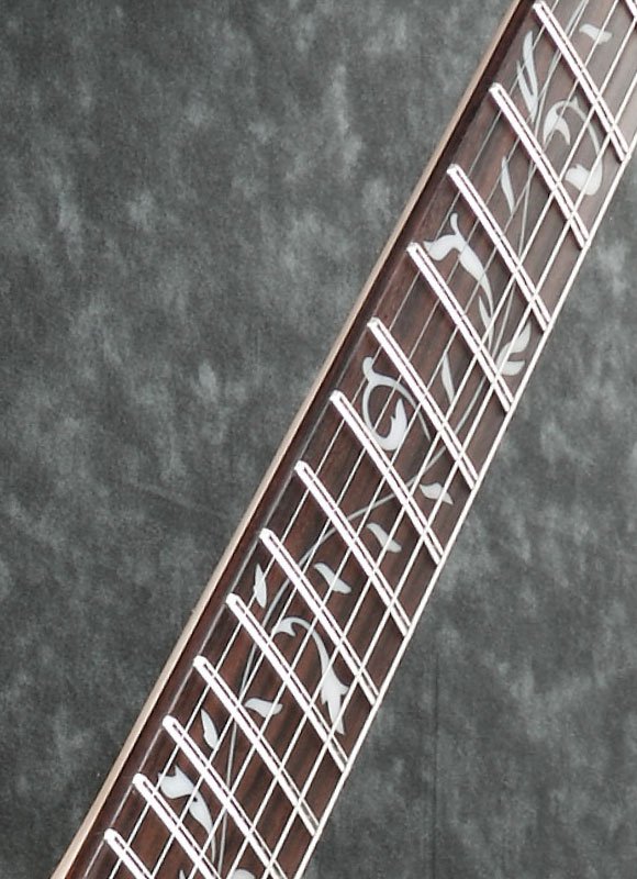 Guitarra Rock Ibanez, firmada por Steve Vai - Image 2